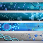 Can Generational Trauma Influence Detoxification Capacity? Exploring Epigenetics and Biotransformation